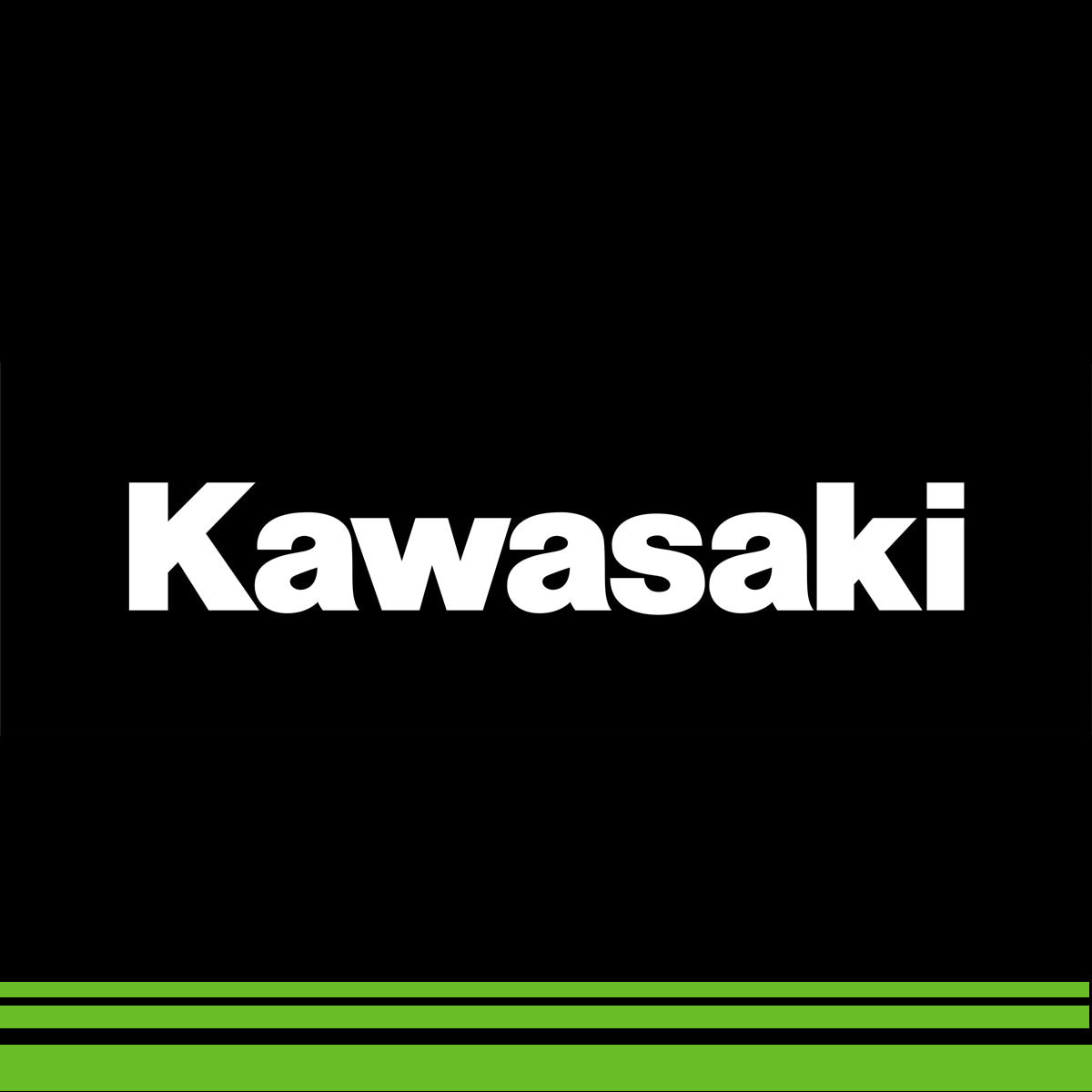 Kawasaki – UNLIMITED-PWC, Japan